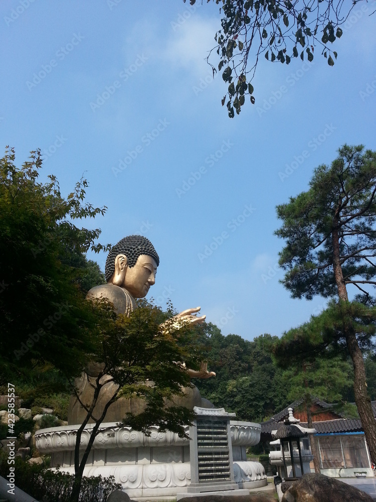 Obraz premium a big statue of buddha is surrounding many trees