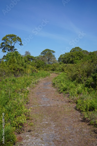 This is a cool hiking path in south Florida 