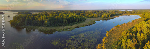 islands with forest in river at sunset aerial view