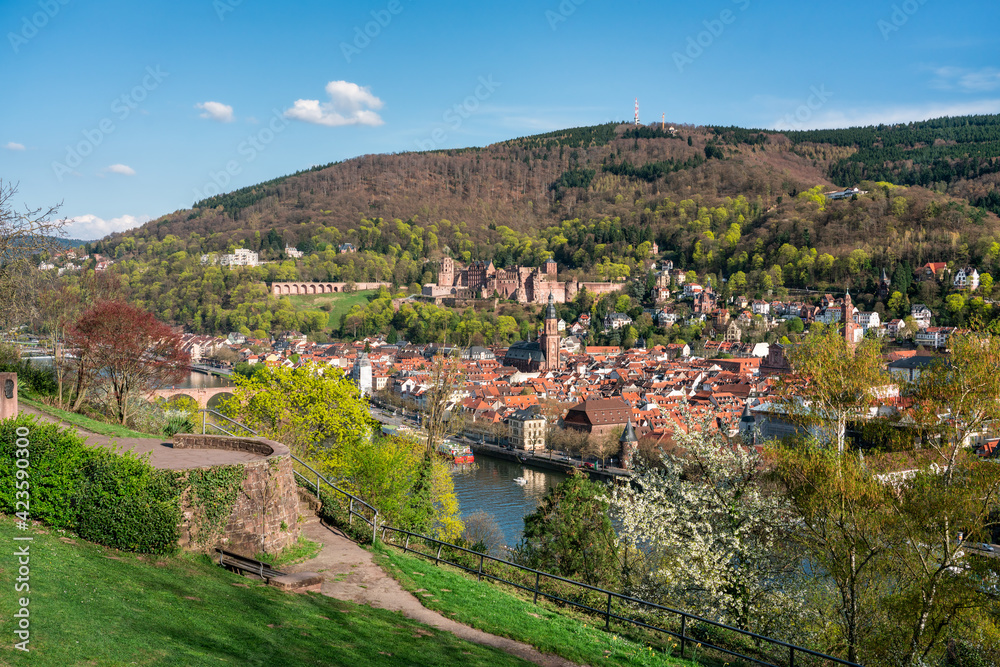 View from the Philosopher's walk in Heidelberg, Germany