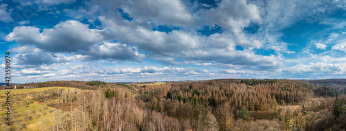 Aerial view over forests and meadows of Westerwald, Altenkirchen, Germany