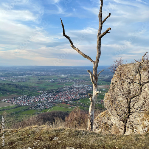 Ein abgestorbener Baum steht am Abhang des Felsmassivs Breitensteins in Ochsenwang auf der Schwäbischen Alb. Das Albvorland dahinter liegt 400 Meter tiefer als der 811 Meter hohe Breitenstein. photo