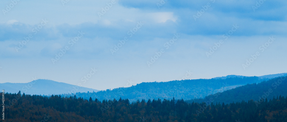 Panorama of forest and mountains at background 