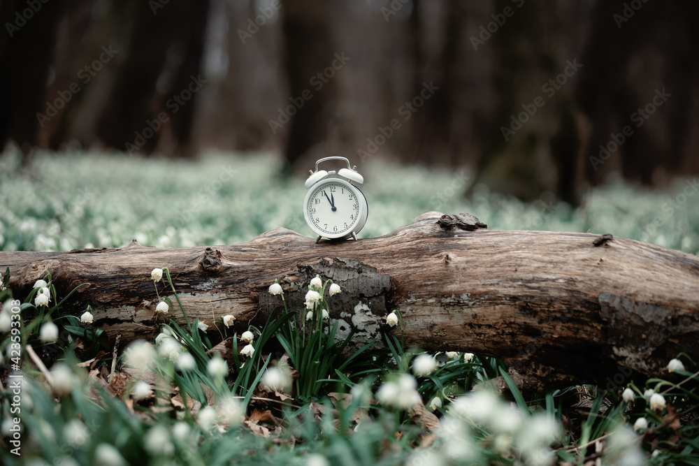 Obraz premium vintage alarm clock on meadow of snowdrops in a forest