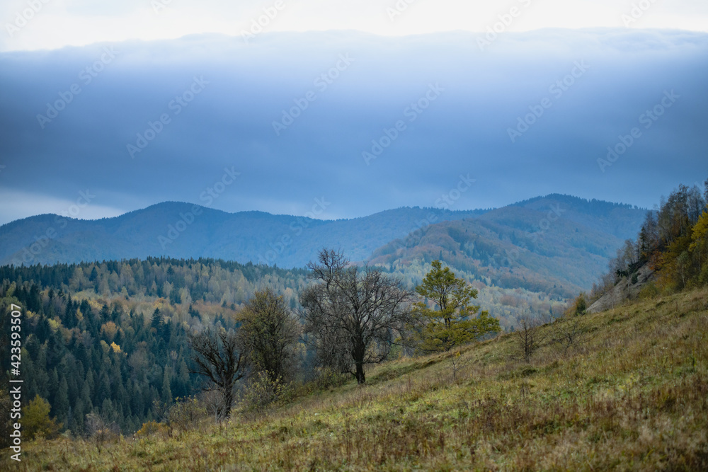 Autumn in mountains with sky at background 