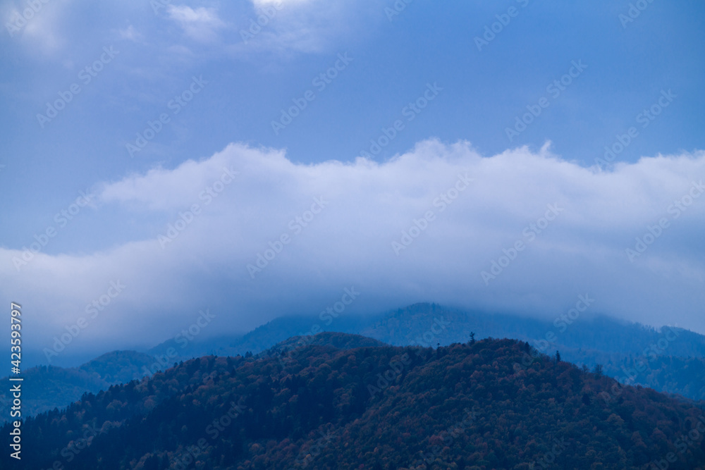 Rainy clouds above forest on mountains 