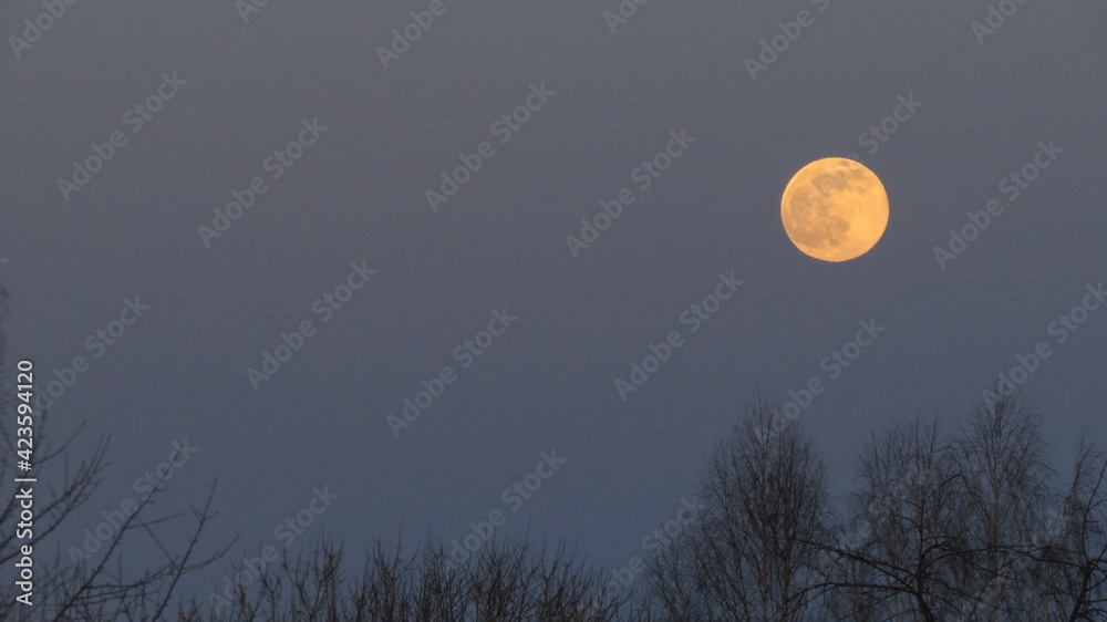 Closeup of full moon, taken on 10 march Closeup of full moon, taken on 10 march