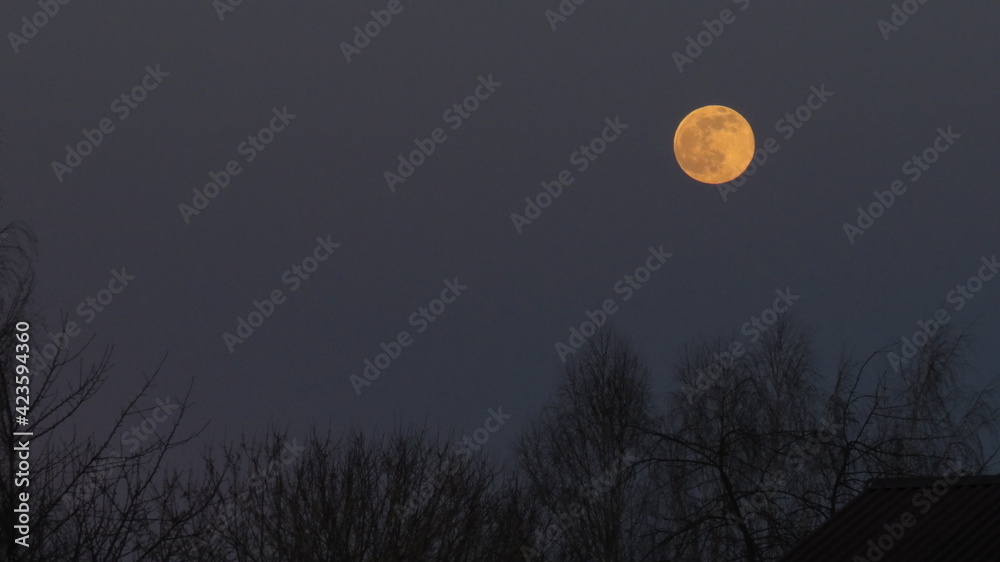 Closeup of full moon, taken on 10 march Closeup of full moon, taken on 10 march