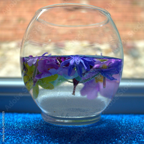 First Spring Bright Flowers Bowl Water Top View Background Bright Beautiful Flowers