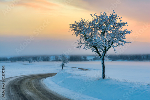 Czech winter landscape, Czech Republic, Pilsen region