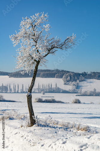 Czech winter landscape, Czech Republic, Pilsen region