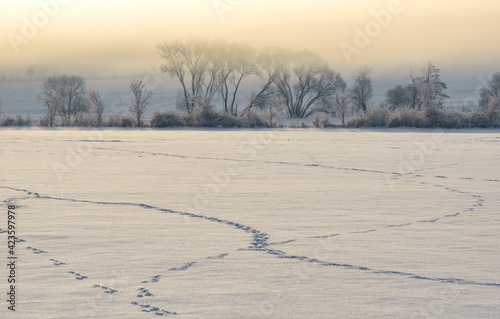 Czech winter landscape, Czech Republic, Pilsen region