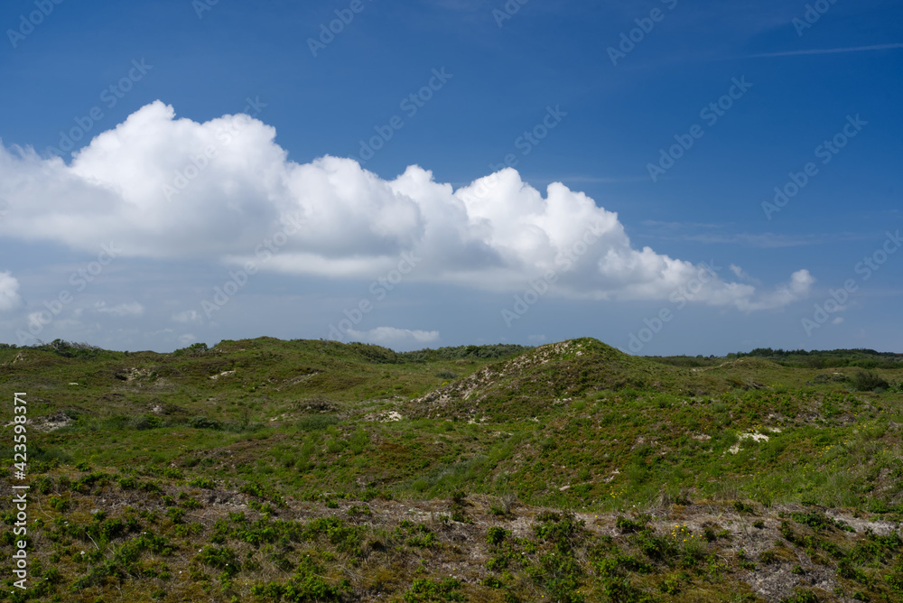 Bewachsene Dünen in der Naturlandschaft der Insel Baltrum