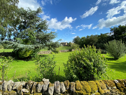 View over a moss covered, dry stone wall, with trees, meadows, and distant farms, on a hot summers day in, Timble, Harrogate, UK  photo