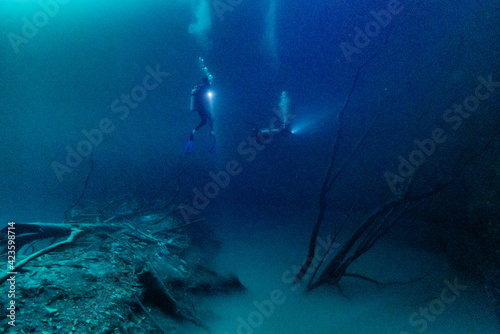 Diving in Cenote Angelita  Mexico