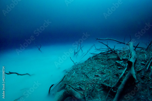 Diving in Cenote Angelita, Mexico photo