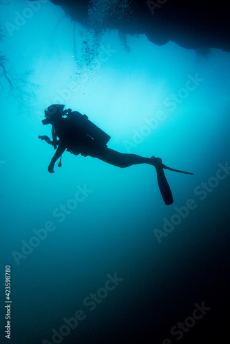 Diving in Cenote Angelita, Mexico © andrea