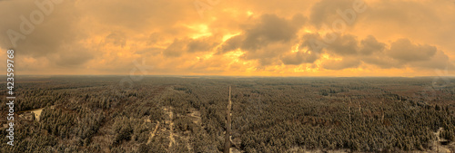 Panoramic coniferous forest in Germany while the sunset is ongoing with wonderful glowing clouds at a wintry evening.
