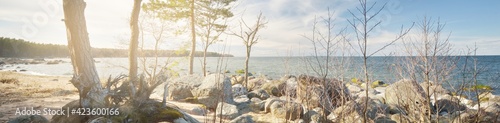 Rocky shore of the Baltic sea under a clear blue sky with cirrus clouds. Ancient stones. Spring. Kasmu nature reserve, Estonia. Ecology, environmental conservation, ecotourism concepts. Panoramic view photo