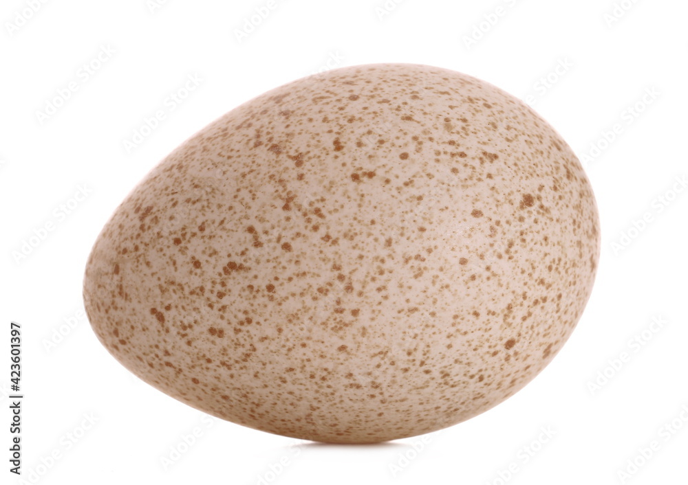 Turkey egg isolated on white background Turkey egg isolated on white background
