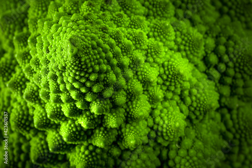 Close up of the green and fractal surface of a romanesco broccoli