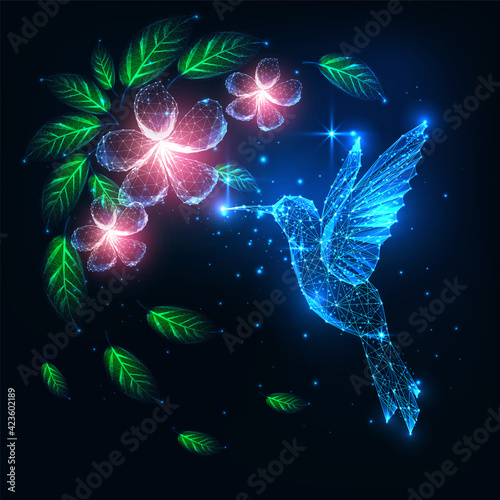 Futuristic glowing low polygonal flying colibri bird, hummingbird and pink flowers