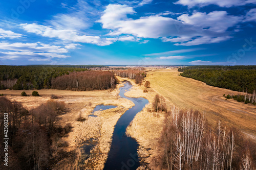 Forest landscape with sky  field and river. Spring sunny day  wild European nature. Beautiful sky. Top view  aerial photography. 
