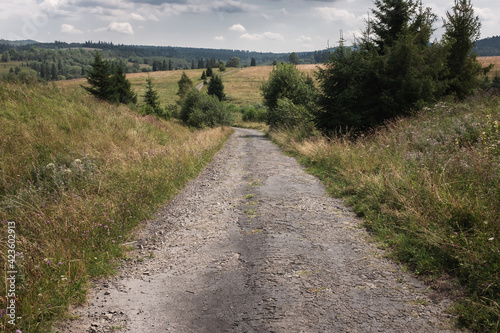 A dirt road in the valley, on a warm summer day, Bieszczady National Park, Poland