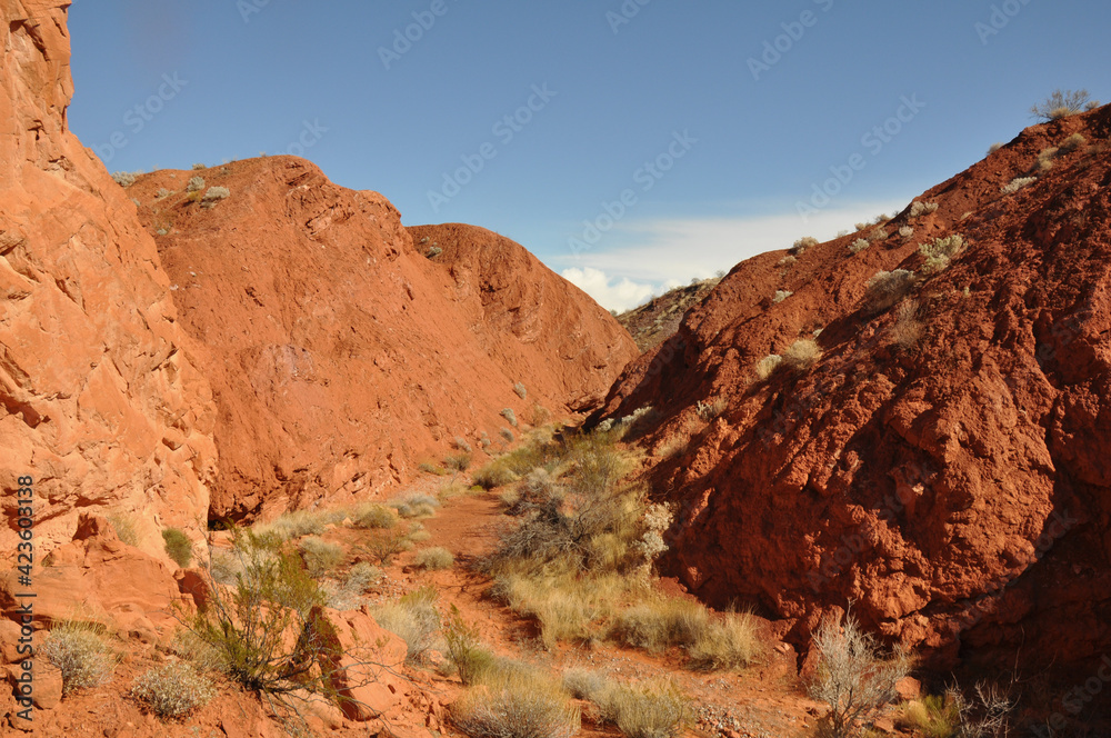 Obraz premium Desert Landscape, hiking trails.