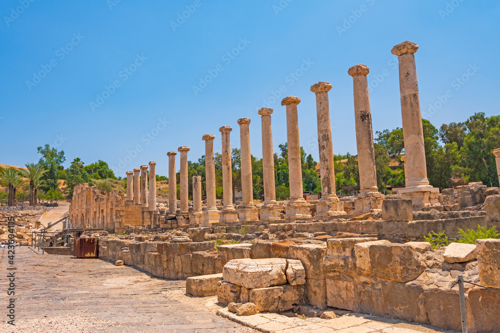 Roman Columns Amongst the Ruins