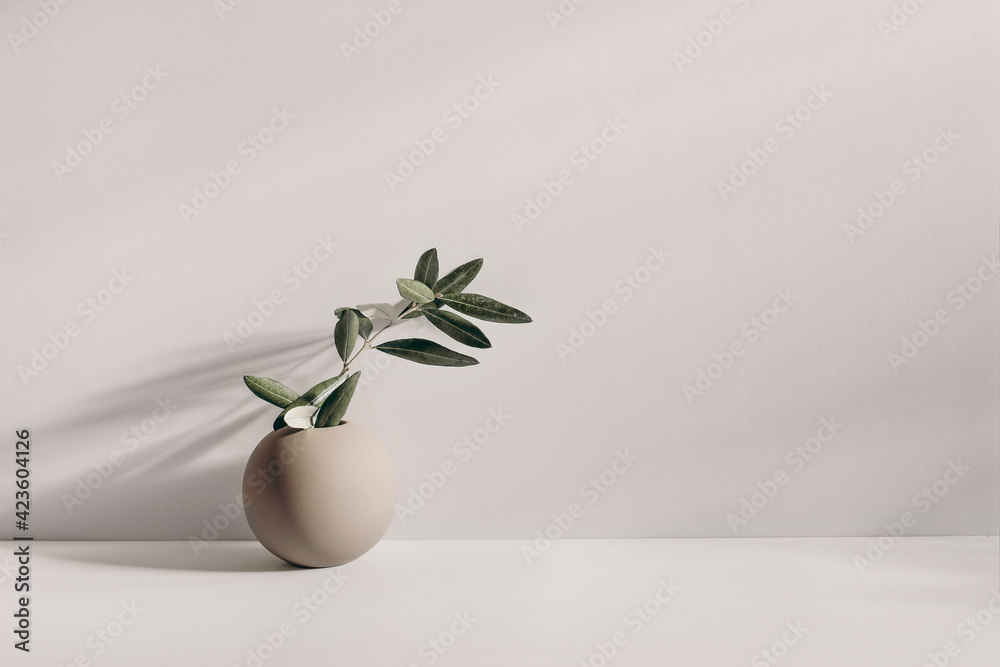 Modern summer still life photo. Beige ball shaped vase with green olive tree branch in sunlight with long shadows.Beige table wall background. Empty copy space. Elegant lifestyle Mediterranean scene. - obrazy, fototapety, plakaty 