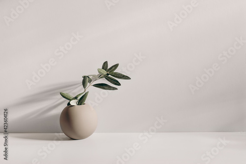 Modern summer still life photo. Beige ball shaped vase with green olive tree branch in sunlight with long shadows.Beige table wall background. Empty copy space. Elegant lifestyle Mediterranean scene.