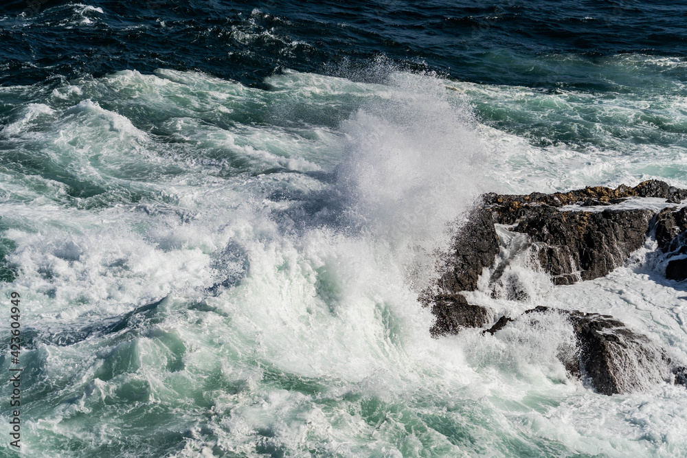Seawater from a wave as it breaks against a rock, sea foam
