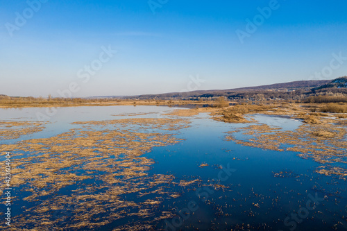 Fall lake grass