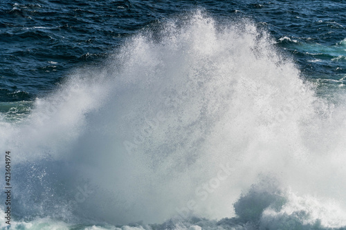 Seawater from a wave as it breaks against a rock, sea foam