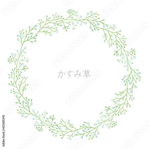 かすみ草のフレーム　円枠　水彩イラスト