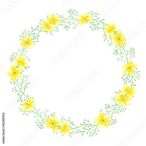 黄色い花とかすみ草のフレーム 円枠 水彩イラスト