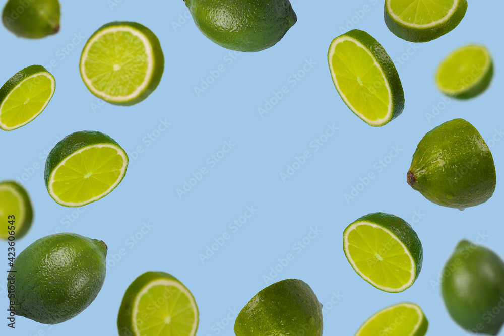 Falling limes isolated on a pastel blue background with space for text.