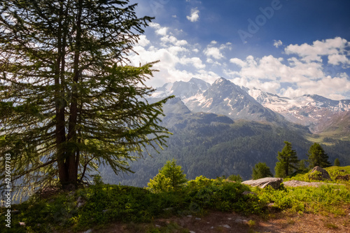 Panorama in Valgrisenche. Italian Alps. Aosta valley. Italy