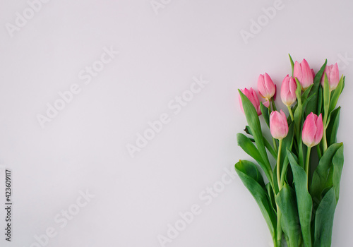 Floral arrangement with pink tulips on bright background. Minimal concept. Copy space.