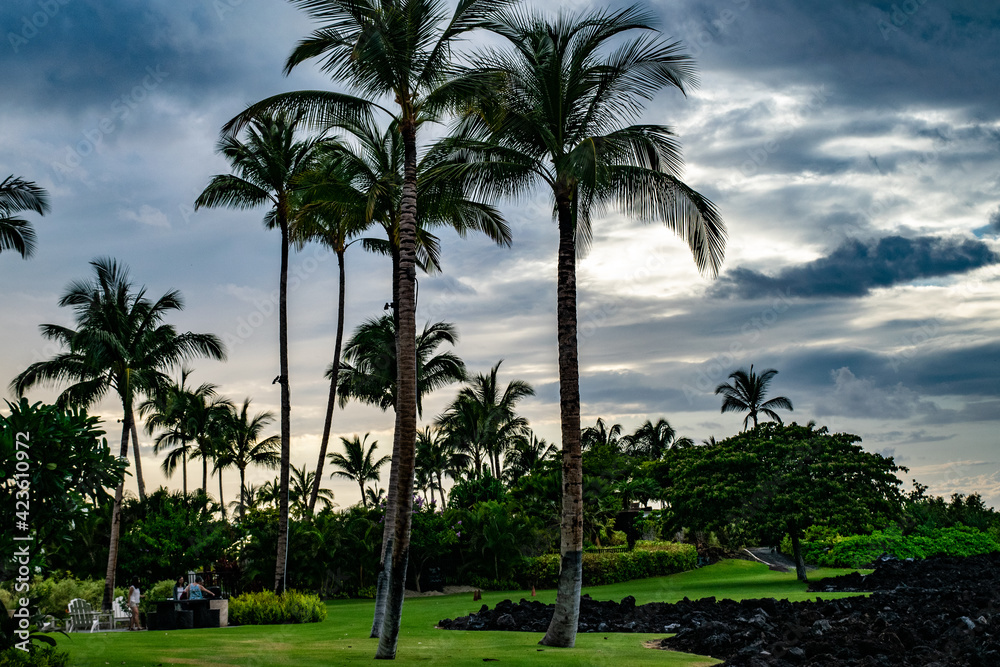 ハワイ島の夕暮れの風景