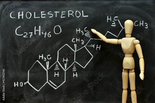 Maniquí de madera mostrando la fórmula molecular y estructural del colesterol en una pizarra