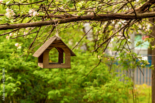 bird house bird feeder hanging on a blossoming apple tree