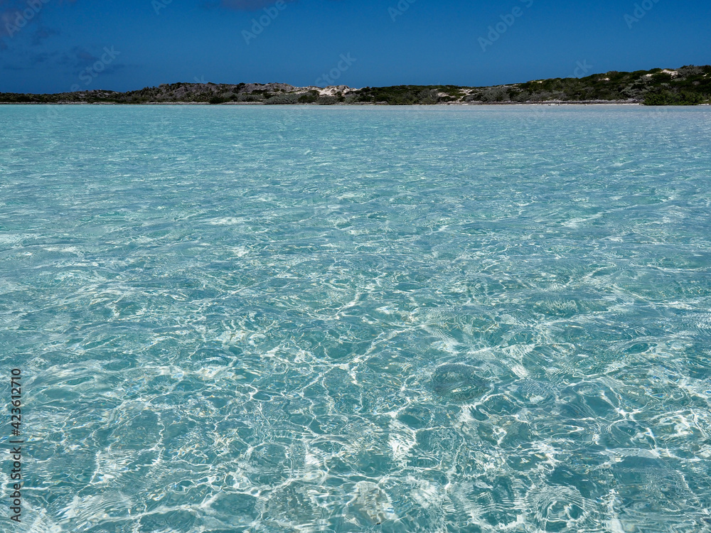 Obraz premium Clear Caribbean Water Texture 