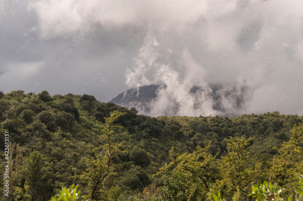 clouds in the mountains