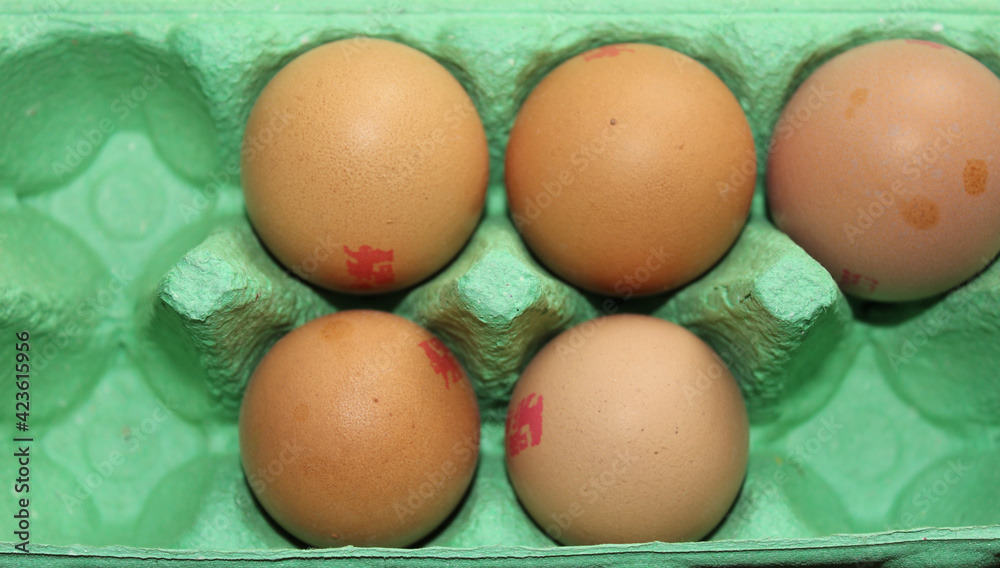 eggs in their box eggs in their box