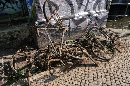 Fahrräder aus dem Wasser gefischt