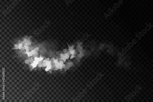 Vector realistic isolated Smoke effect for decoration and covering on the transparent background.
