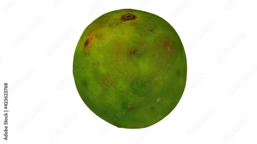 Realistic render of a spinning Native Philippine Orange on white background. The video is seamlessly looping, and the 3D object is scanned from a real orange.
Realistic render of a spinning Native Philippine Orange on white background. The video is seamlessly looping, and the 3D object is scanned from a real orange.