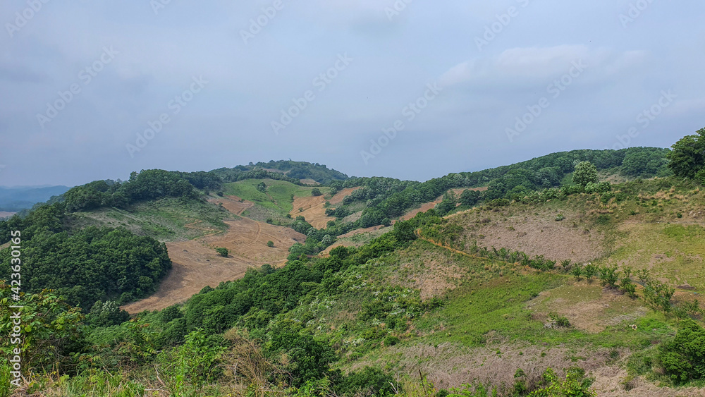 Naklejka premium view from the hill